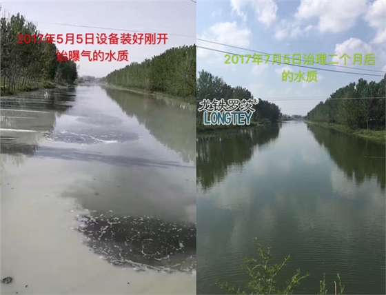沉水風(fēng)機治理前后對比圖