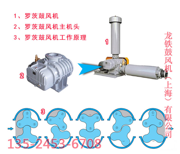 羅茨鼓風(fēng)機品牌