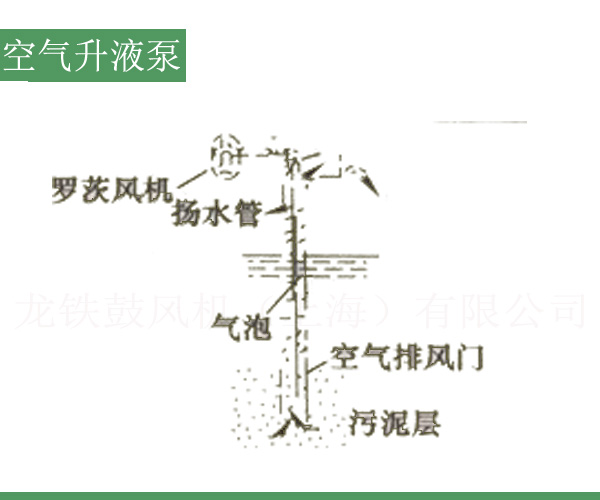 空氣升液泵羅茨風(fēng)機.jpg